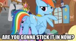 Size: 623x342 | Tagged: big crown thingy, caption, derpibooru import, edit, edited screencap, exploitable meme, flank, hub logo, implied sex, iwtcird, keep calm and flutter on, plot, rainbow dash, screencap, suggestive, twilight sparkle