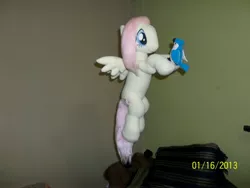 Size: 4288x3216 | Tagged: artist:tres-apples, bird, blue jay, derpibooru import, fluttershy, flying, irl, photo, plushie, safe, solo