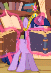 Size: 298x424 | Tagged: safe, derpibooru import, twilight sparkle, keep calm and flutter on, animated, big crown thingy, book, element of magic