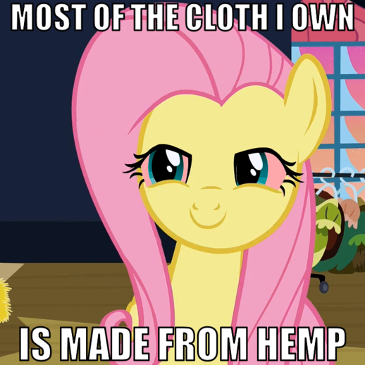 Size: 518x518 | Tagged: derpibooru import, flutterhigh, fluttershy, high, hippie, hippieshy, image macro, safe