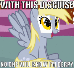Size: 406x373 | Tagged: safe, derpibooru import, derpy hooves, pegasus, pony, animated, dan vs fim, disguise, female, image macro, mare, paper-thin disguise, spy, team fortress 2, underp