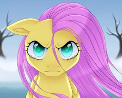 Size: 800x639 | Tagged: angry, artist:stalkerpony, crying, derpibooru import, fluttershy, safe, solo