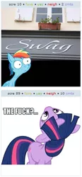 Size: 259x560 | Tagged: derpibooru import, exploitable meme, hotdiggedydemon, juxtaposition, juxtaposition win, meta, .mov, ponies in real life, rainbow dash, safe, shed.mov, swag, twilight sparkle, vulgar, wtf