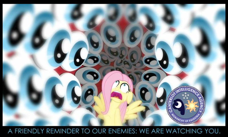 Size: 869x525 | Tagged: canterlot intelligence agency, cia, derpibooru import, edit, edited screencap, eyeball, eyes, fluttershy, hurricane fluttershy, poster, propaganda, safe, screencap