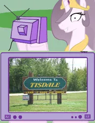 Size: 578x750 | Tagged: derpibooru import, exploitable meme, meme, princess celestia, princess molestia, safe, saskatchewan, tv meme