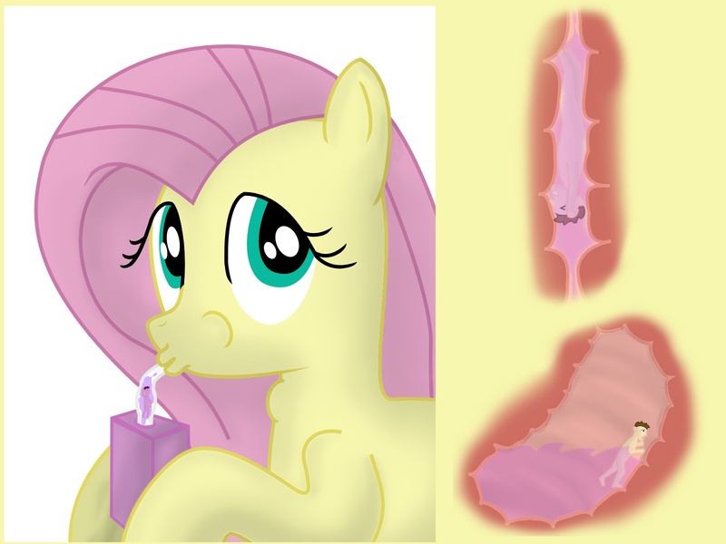 Size: 1600x1200 | Tagged: questionable, derpibooru import, fluttershy, human, pony, bashing, comic, cute, drink, drinking, endosoma, esophagus, fetish, flutterpred, gullet, gulp, haters gonna hate, inside stomach, internal, juice box, macro/micro, micro, mucous, mucus, shyabetes, simple background, size difference, slimy, soft vore, squishy, stomach, stomach acid, stomach wings, straw, swallow, vore