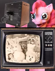 Size: 699x900 | Tagged: bear, creepy, exploitable meme, human, pinkie pie, rabbit, raccoon, safe, tv meme