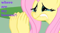 Size: 1000x561 | Tagged: crying, derpibooru import, fluttershy, safe
