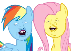 Size: 550x400 | Tagged: aaaaauugh, bad edit, derpibooru import, edit, elements of haaauuuughmony, faic, fluttershy, oney, rainbow dash, safe, wingardium leviosa