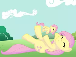 Size: 2592x1936 | Tagged: safe, artist:zoeezoee, derpibooru import, fluttershy, plushie