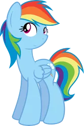 Size: 3148x4739 | Tagged: safe, artist:blueblitzie, derpibooru import, rainbow dash, absurd resolution, simple background, solo, transparent background, vector