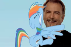 Size: 960x640 | Tagged: bad edit, bill engvall, friendship is magnets, rainbow dash, safe