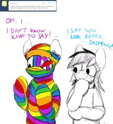 Size: 1280x1412 | Tagged: artist:gordonfreeguy, ask, bandage pony, bandy, bandydash, double rainbow, rainbow dash, safe, tumblr