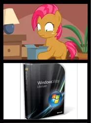 Size: 651x876 | Tagged: babs seed, bad gift meme, derpibooru import, exploitable meme, meme, safe, windows, windows vista