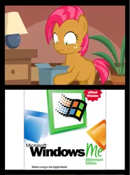 Size: 651x876 | Tagged: babs seed, bad gift meme, derpibooru import, exploitable meme, meme, microsoft, safe, windows, windows me