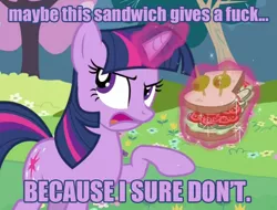 Size: 616x469 | Tagged: a canterlot wedding, cropped, derpibooru import, edit, edited screencap, image macro, levitation, magic, meme, no fucks, safe, sandwich, sandwich armor, screencap, solo, telekinesis, twilight sparkle, vulgar