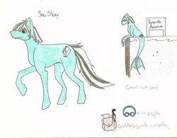 Size: 900x702 | Tagged: safe, artist:avidrak, derpibooru import, oc, unofficial characters only, earth pony, merpony, pony