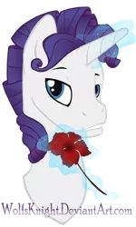 Size: 692x1155 | Tagged: artist:wolfsknight, derpibooru import, elusive, flower, magic, rarity, rule 63, safe, solo