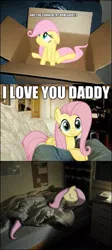 Size: 323x720 | Tagged: safe, derpibooru import, fluttershy, pony, box, c:, cardboard box, comic, cute, eyes closed, floppy ears, frown, leaning, looking at you, ponies in real life, pony in a box, prone, side, sitting, smiling, solo