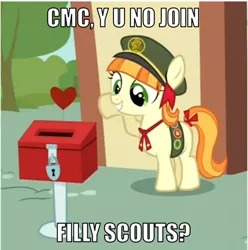 Size: 500x504 | Tagged: derpibooru import, filly guides, filly scouts, grin, hilarious in hindsight, image macro, implied cmc, implied cutie mark crusaders, just for sidekicks, safe, screencap, smiling, solo, tag-a-long, thin mint, y u no