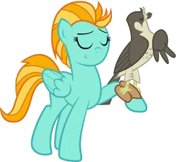 Size: 3294x3001 | Tagged: safe, artist:clamstacker, derpibooru import, lightning dust, bird, falcon, pegasus, pony, animal, duo, eyes closed, falconry, female, mare, peregrine falcon, pet, raised hoof, simple background, transparent background, vector