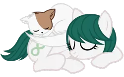 Size: 1280x800 | Tagged: safe, artist:midnight--blitz, derpibooru import, oc, unofficial characters only, cat, earth pony, pony, simple background, sleeping, transparent background, vector