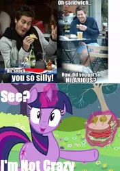 Size: 500x709 | Tagged: derpibooru import, image macro, safe, sandwich, sandwich armor, twilight sparkle