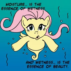 Size: 945x945 | Tagged: artist:megasweet, crossover, derpibooru import, flutterlander, fluttershy, merpony, parody, safe, underwater, zoolander