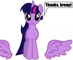Size: 1100x908 | Tagged: grimdark, artist:advance, derpibooru import, edit, twilight sparkle, twilight sparkle (alicorn), alicorn, pony, alicorn drama, amputation, amputee, blood, dialogue, female, looking at you, mare, severed wing, smiling, talking to viewer
