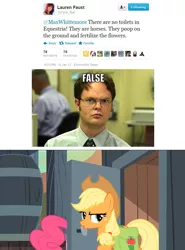 Size: 500x676 | Tagged: applejack, derpibooru import, dwight schrute, false, lauren faust, meme, pinkie pie, safe, text, toilet, twitter