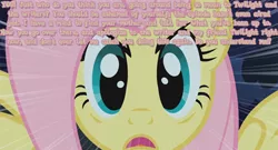 Size: 500x269 | Tagged: alicorn drama, alicorn drama drama, fluttershy, metadrama, mouthpiece, safe, text, the stare, wall of text