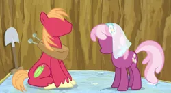 Size: 1276x692 | Tagged: safe, derpibooru import, edit, edited screencap, screencap, big macintosh, cheerilee, earth pony, pony, hearts and hooves day (episode), duo, hearts and hooves day, male, mattress, no face, shovel, stallion, template, wedding veil