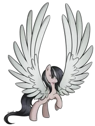 Size: 679x900 | Tagged: safe, artist:secret-pony, derpibooru import, oc, oc:hurricane, unofficial characters only, pegasus, pony, impossibly large wings, solo