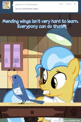 Size: 600x898 | Tagged: artist:adiwan, ask, ask the vet pony, bandage, bird, comic, derpibooru import, doctor fauna, mending, safe, tumblr, vet, wings