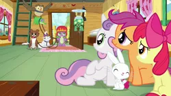 Size: 1280x720 | Tagged: angel bunny, apple bloom, clubhouse, crusaders clubhouse, cutie mark crusaders, derpibooru import, gummy, just for sidekicks, opalescence, owlowiscious, safe, scootaloo, screencap, spike, sweetie belle, tank, winona