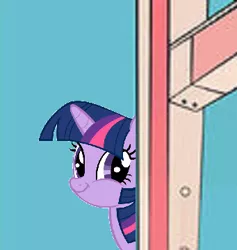 Size: 341x360 | Tagged: safe, derpibooru import, twilight sparkle, image, meme, needs more jpeg, png, puss gets the boot, that fucking cat, tom and jerry, twiface, wrong neighborhood
