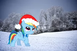 Size: 1024x680 | Tagged: artist:obi-wan-kepony, derpibooru import, filly, hat, ponies in real life, rainbow dash, safe, snow, tree, vector