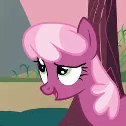 Size: 386x386 | Tagged: cheerilee, costanza face, cropped, derpibooru import, hearts and hooves day, hearts and hooves day (episode), safe, screencap, solo