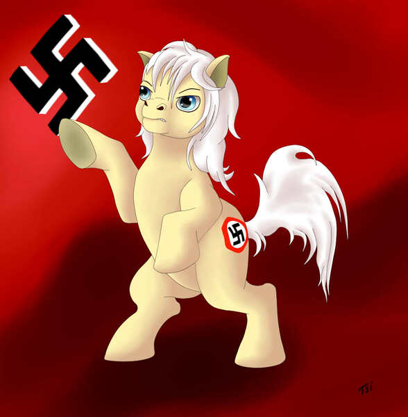 Size: 1004x1024 | Tagged: artist:drakonessa-tsi, derpibooru import, nazi, oc, racism, safe, swastika, unofficial characters only, why sid why