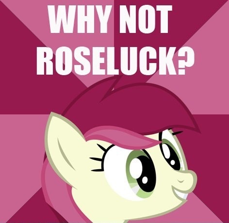 Size: 472x460 | Tagged: derpibooru import, image macro, roseluck, safe, why not zoidberg