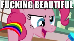 Size: 667x375 | Tagged: derp, derpibooru import, epic pie time, image macro, pinkie pie, reaction image, safe, vulgar