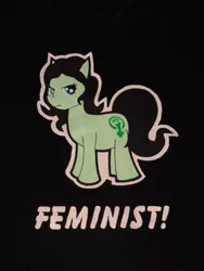 Size: 986x1314 | Tagged: clothes, feminism, ponified, safe, shirt