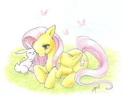 Size: 757x595 | Tagged: safe, artist:ryuza, derpibooru import, angel bunny, fluttershy, traditional art