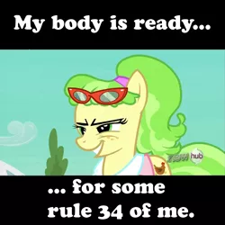 Size: 1267x1267 | Tagged: chickadee, derpibooru import, edit, edited screencap, evil grin, games ponies play, glasses, hub logo, image macro, ms. peachbottom, rapeface, screencap, suggestive