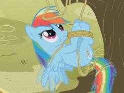 Size: 320x240 | Tagged: animated, bondage, derpibooru import, fall weather friends, hogtied, invisible stallion, out of context, rainbow dash, rope, safe, screencap, solo, suspended, tied up