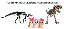 Size: 831x382 | Tagged: safe, derpibooru import, apple bloom, scootaloo, sweetie belle, earth pony, pegasus, pony, unicorn, cutie mark crusaders, dinosaurs, female, filly, foal, fossil, looking at you, paleontology, simple background, smiling, spread wings, this will end in tears, trio, vector, white background, wings