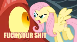 Size: 848x465 | Tagged: basil, dragon, dragonshy, duo, edit, edited screencap, eyes, fluttershy, fuck your shit, image macro, safe, screencap, stare, vulgar