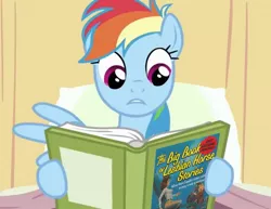 Size: 937x722 | Tagged: artist:toonbat, book, derpibooru import, hospital, lesbian horse stories, rainbow dash, safe, the big book of lesbian horse stories