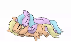 Size: 1024x610 | Tagged: artist:inkiepie, cuddling, derpibooru import, fluffy pony, fluffy pony original art, safe, sleeping