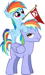 Size: 3534x5882 | Tagged: absurd resolution, artist:jerick, derpibooru import, father and daughter, filly, flag, games ponies play, rainbow blaze, rainbow dash, safe, simple background, transparent background, vector